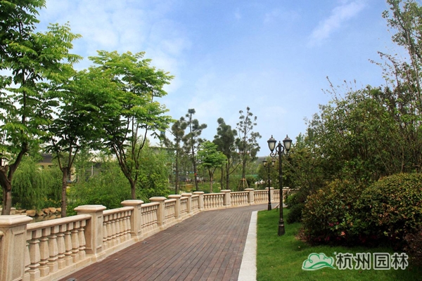 亚洲精品白浆高清久久久久久