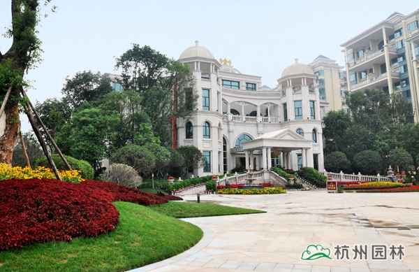 亚洲精品白浆高清久久久久久