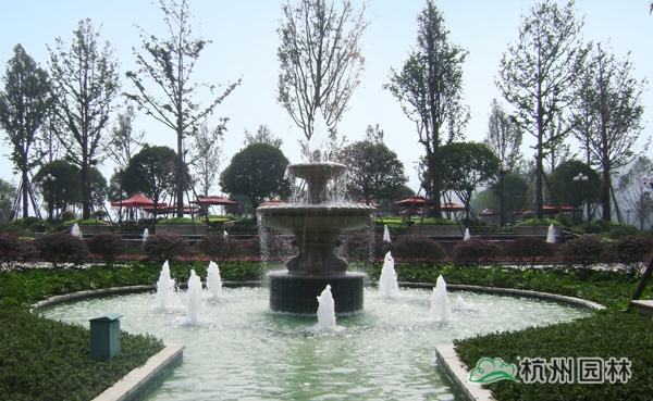 亚洲精品白浆高清久久久久久