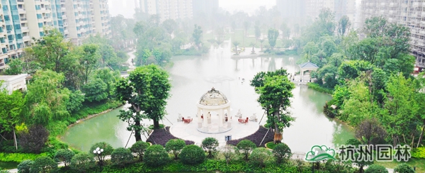 亚洲精品白浆高清久久久久久