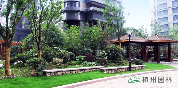 亚洲精品白浆高清久久久久久