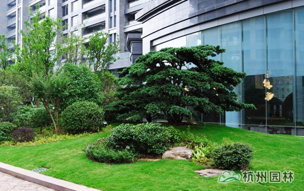 亚洲精品白浆高清久久久久久