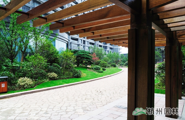 亚洲精品白浆高清久久久久久