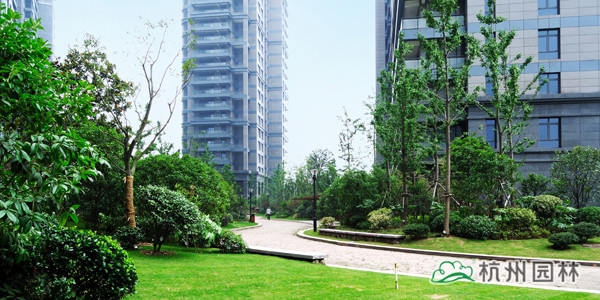 亚洲精品白浆高清久久久久久