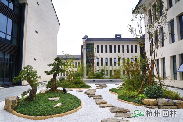 亚洲精品白浆高清久久久久久