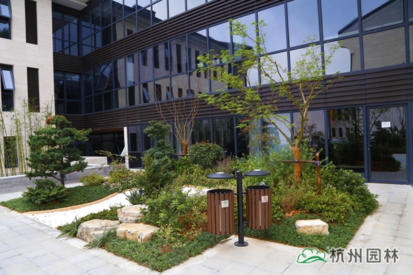 亚洲精品白浆高清久久久久久