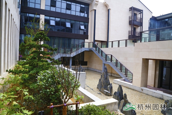 亚洲精品白浆高清久久久久久