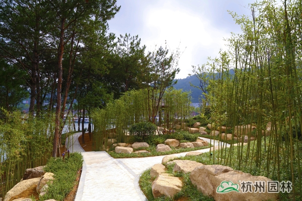 亚洲精品白浆高清久久久久久