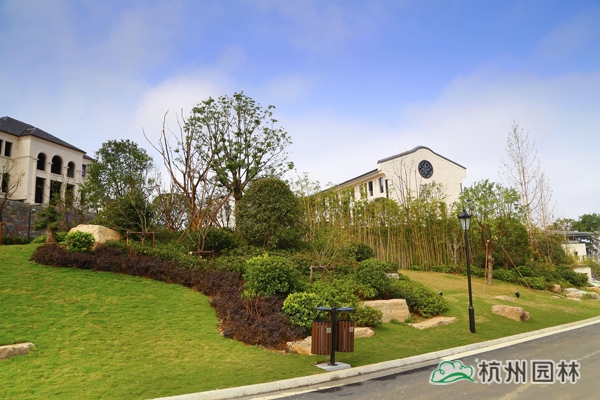 亚洲精品白浆高清久久久久久