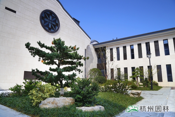 亚洲精品白浆高清久久久久久