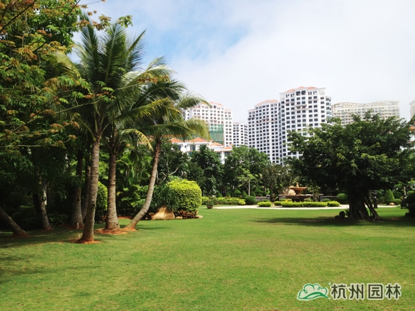 亚洲精品白浆高清久久久久久