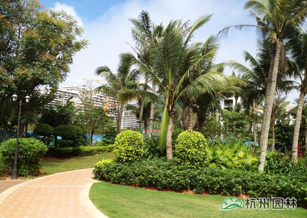 亚洲精品白浆高清久久久久久