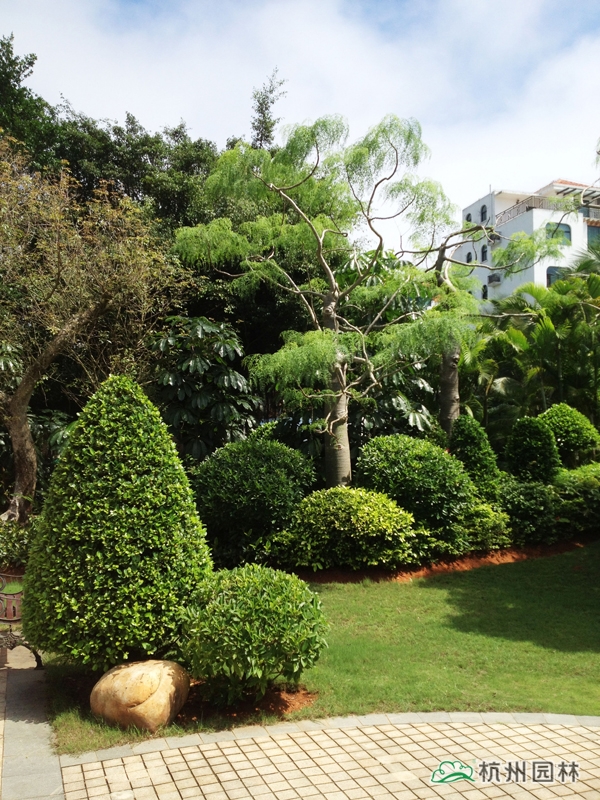 亚洲精品白浆高清久久久久久