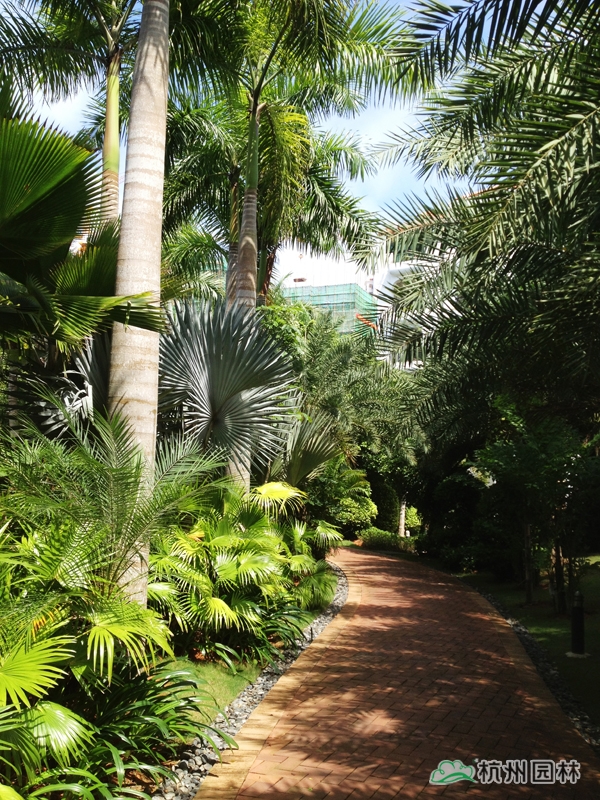 亚洲精品白浆高清久久久久久