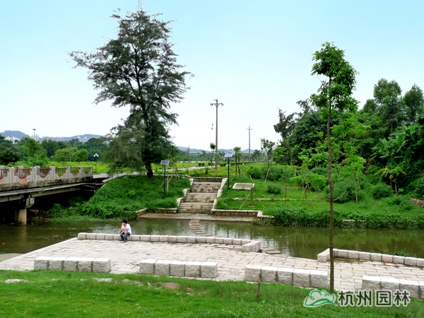 亚洲精品白浆高清久久久久久