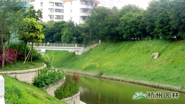 亚洲精品白浆高清久久久久久