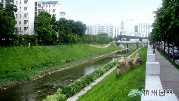 亚洲精品白浆高清久久久久久