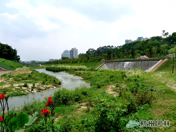 亚洲精品白浆高清久久久久久