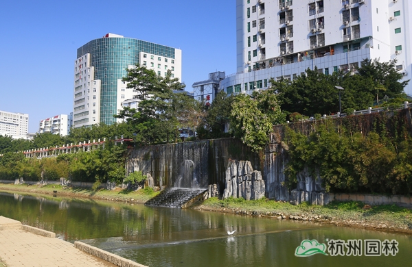 亚洲精品白浆高清久久久久久