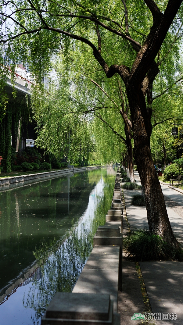 亚洲精品白浆高清久久久久久