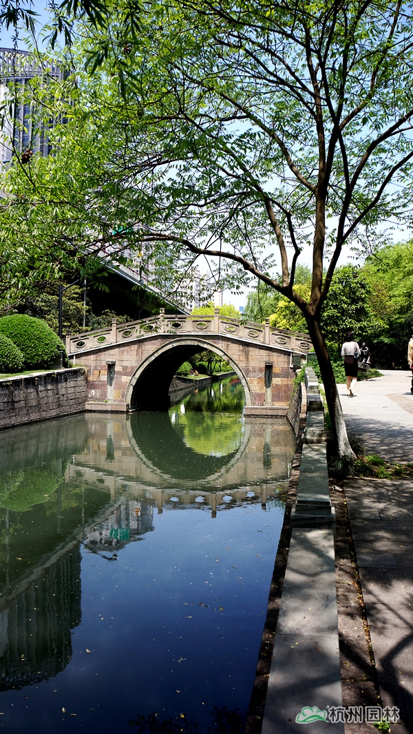 亚洲精品白浆高清久久久久久