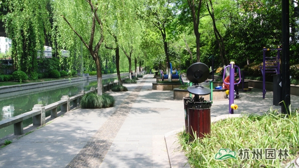 亚洲精品白浆高清久久久久久