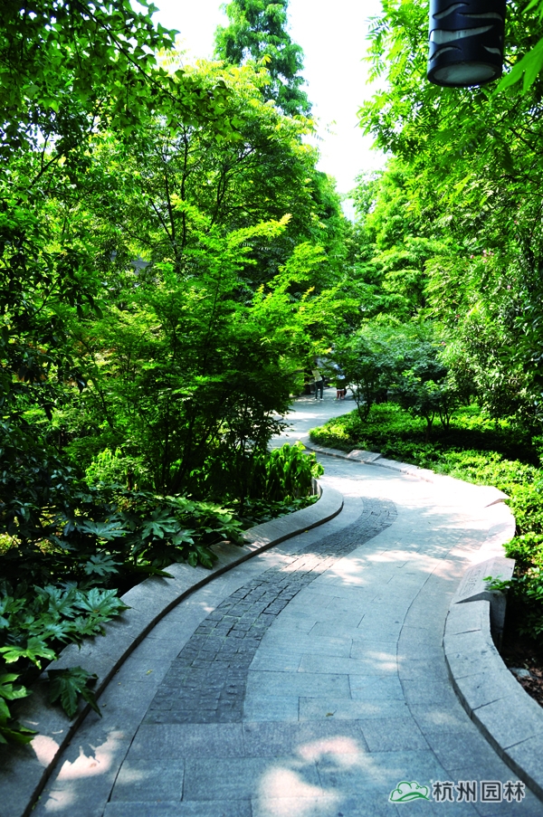 亚洲精品白浆高清久久久久久