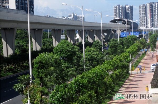 亚洲精品白浆高清久久久久久