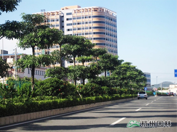 亚洲精品白浆高清久久久久久