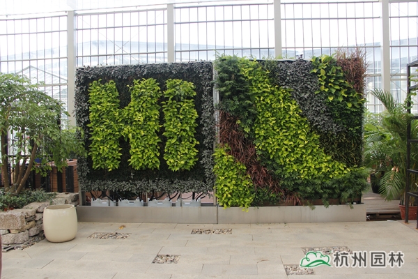 亚洲精品白浆高清久久久久久