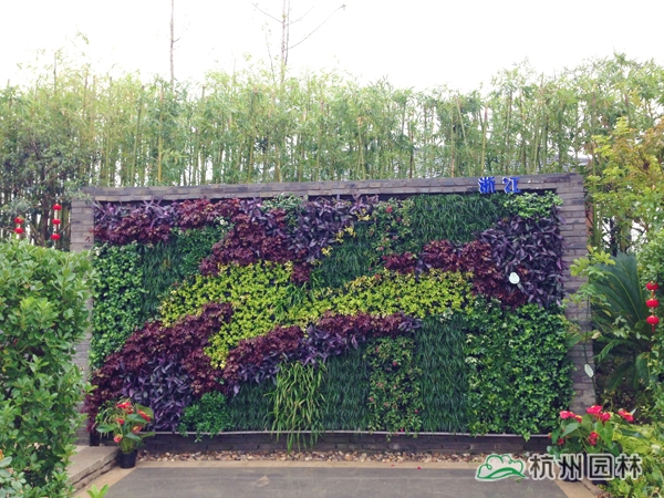 亚洲精品白浆高清久久久久久