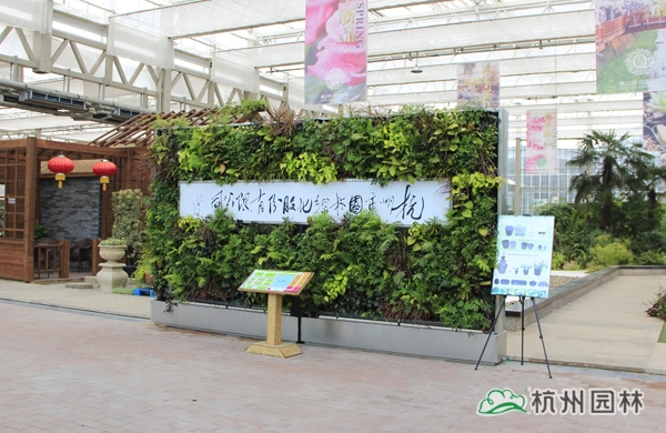 亚洲精品白浆高清久久久久久