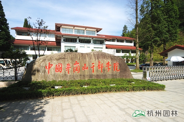 亚洲精品白浆高清久久久久久