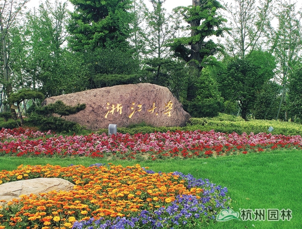 亚洲精品白浆高清久久久久久