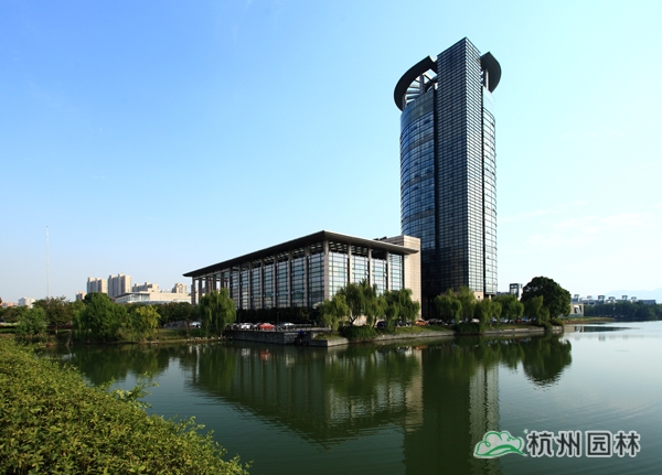 亚洲精品白浆高清久久久久久