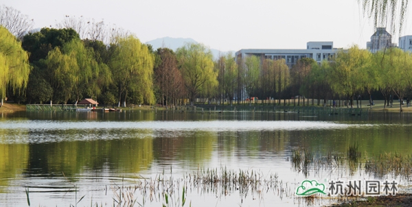 亚洲精品白浆高清久久久久久