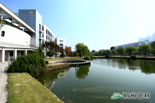 亚洲精品白浆高清久久久久久