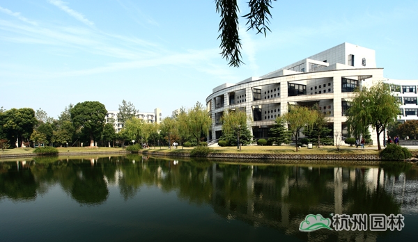 亚洲精品白浆高清久久久久久