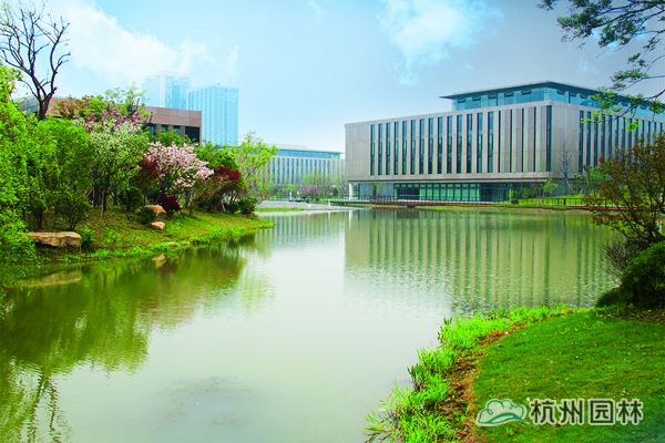 亚洲精品白浆高清久久久久久