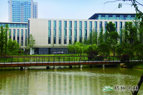 亚洲精品白浆高清久久久久久