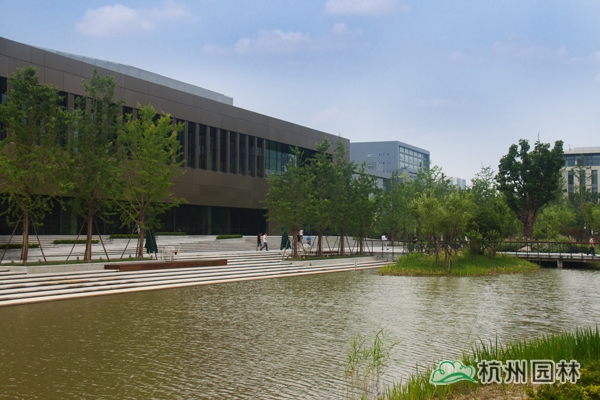 亚洲精品白浆高清久久久久久