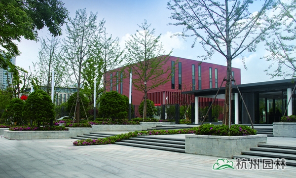 亚洲精品白浆高清久久久久久