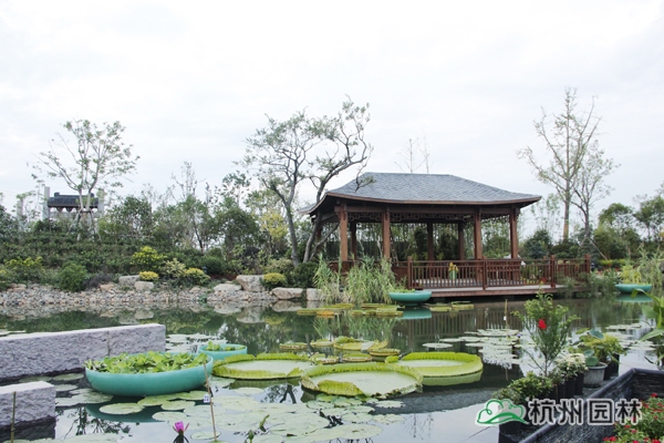 亚洲精品白浆高清久久久久久