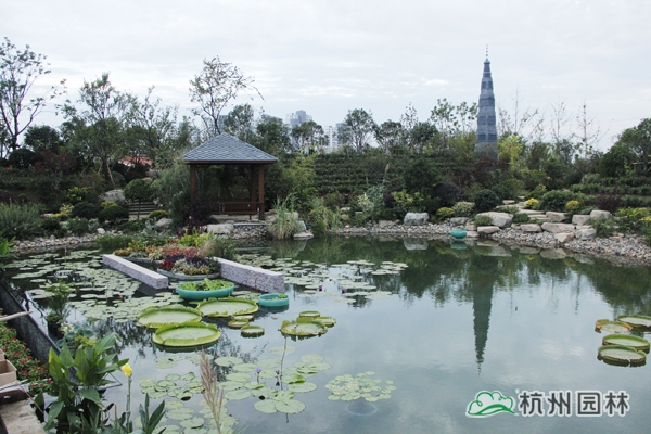 亚洲精品白浆高清久久久久久