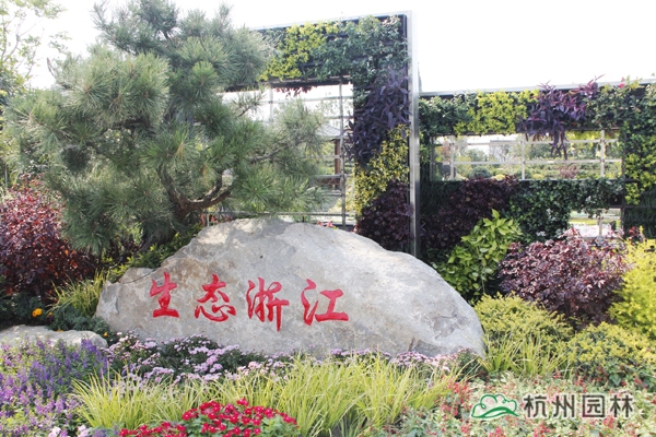 亚洲精品白浆高清久久久久久