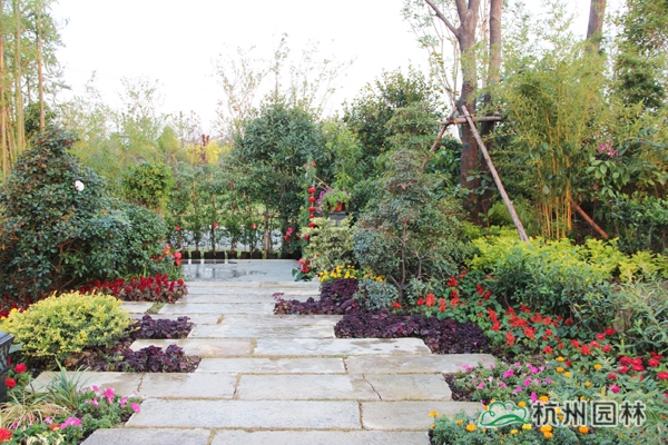 亚洲精品白浆高清久久久久久