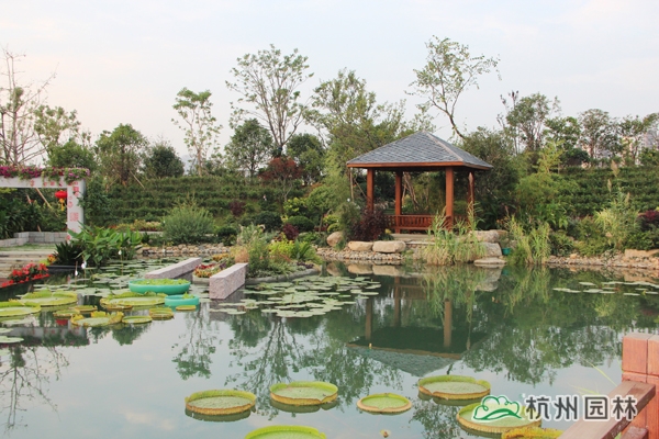 亚洲精品白浆高清久久久久久