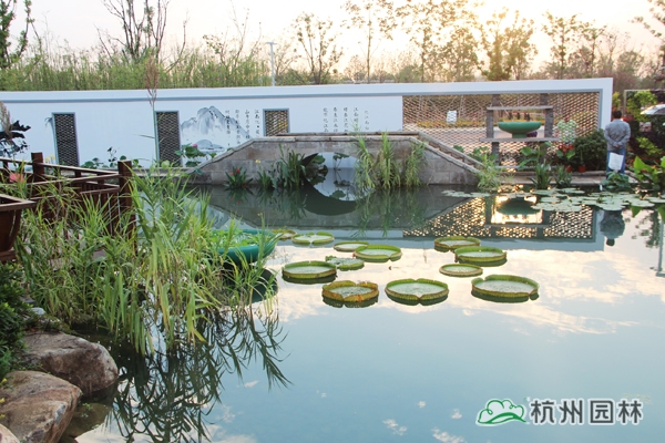 亚洲精品白浆高清久久久久久