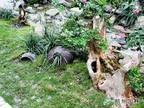 亚洲精品白浆高清久久久久久