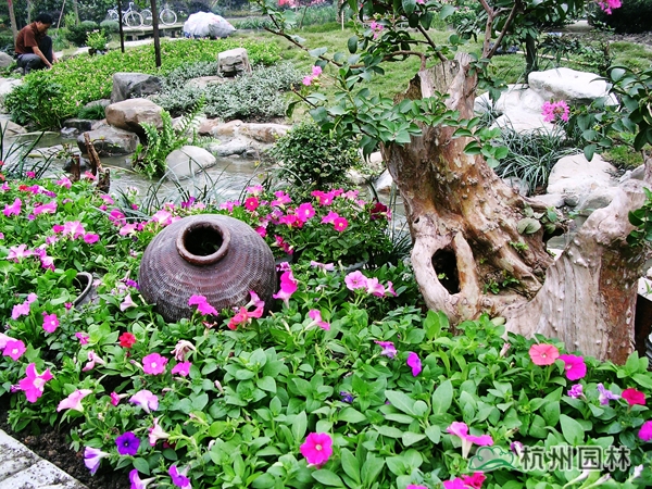 亚洲精品白浆高清久久久久久